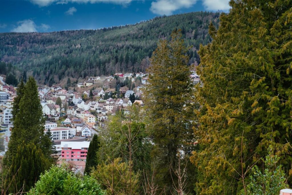 Aussicht Bad Wildbad