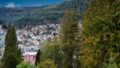 Aussicht Bad Wildbad